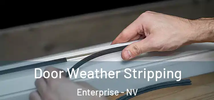 Door Weather Stripping Enterprise - NV