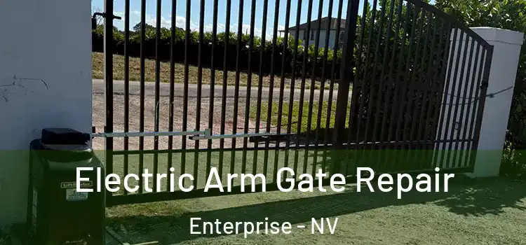  Electric Arm Gate Repair Enterprise - NV
