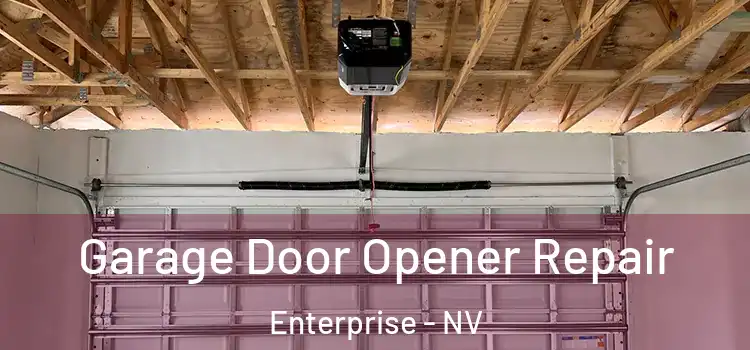  Garage Door Opener Repair Enterprise - NV