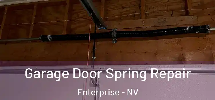  Garage Door Spring Repair Enterprise - NV