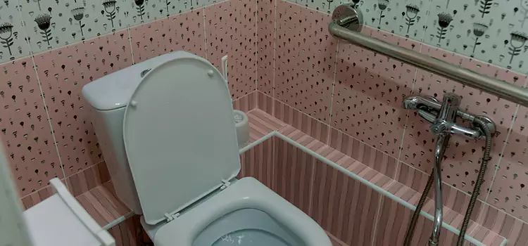 Meeting Diverse Needs With Accessible Restroom Solutions in Enterprise, NV