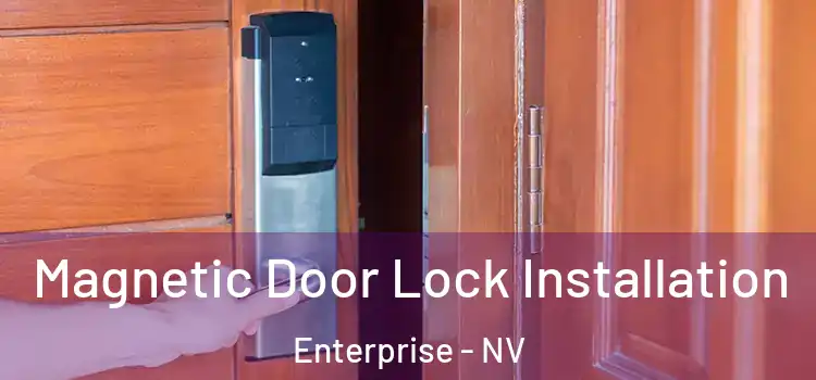  Magnetic Door Lock Installation Enterprise - NV