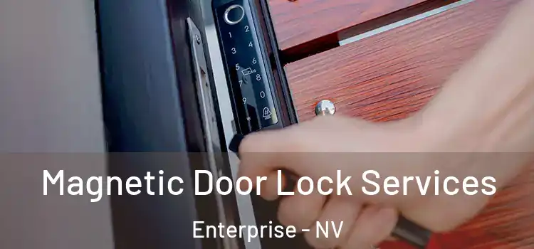  Magnetic Door Lock Services Enterprise - NV