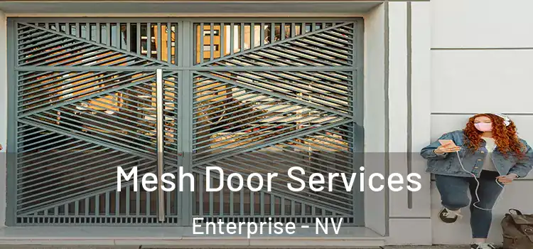 Mesh Door Services Enterprise - NV
